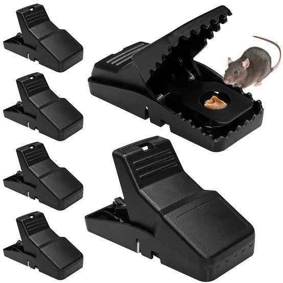 Rat Trap Mouse